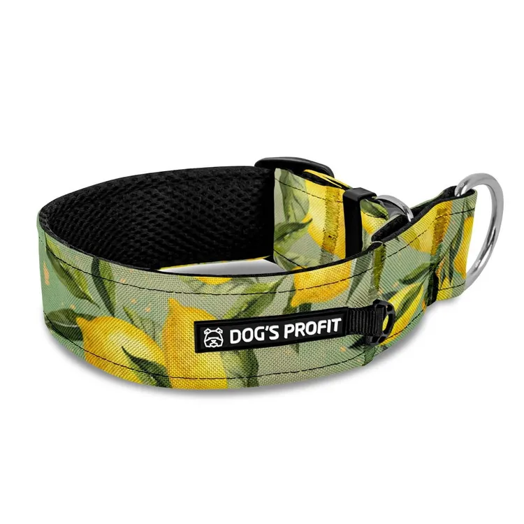 Obroża półzaciskowa dla charta Signora Limone XS|25mm (25-30cm)