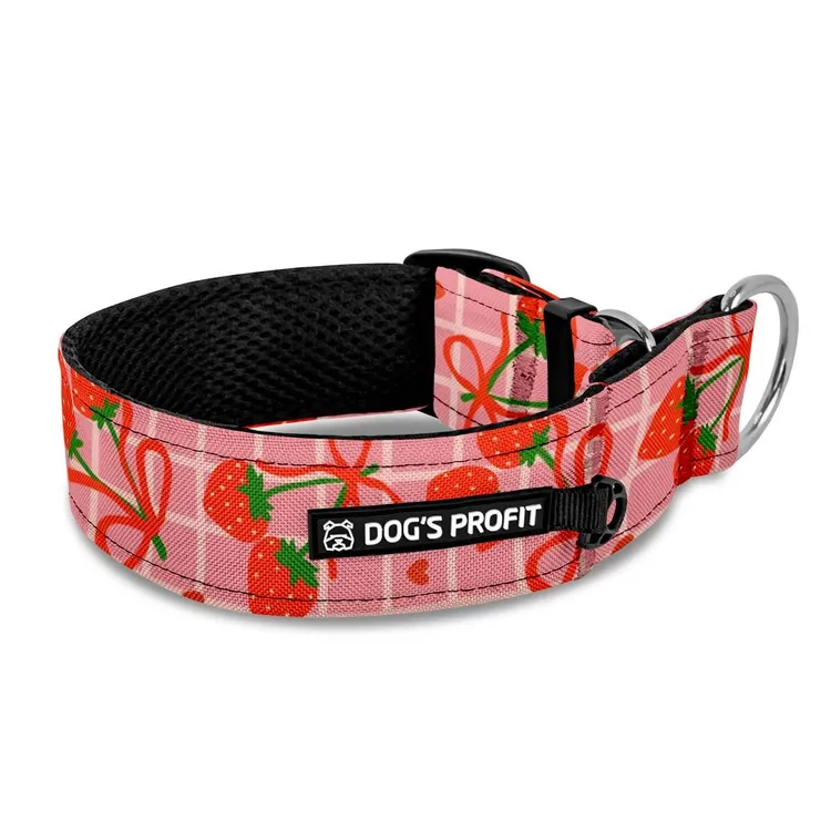 Obroża półzaciskowa dla charta SŁODKA JAK TRUSKAWKI LATEM XS|25mm (25-30cm)