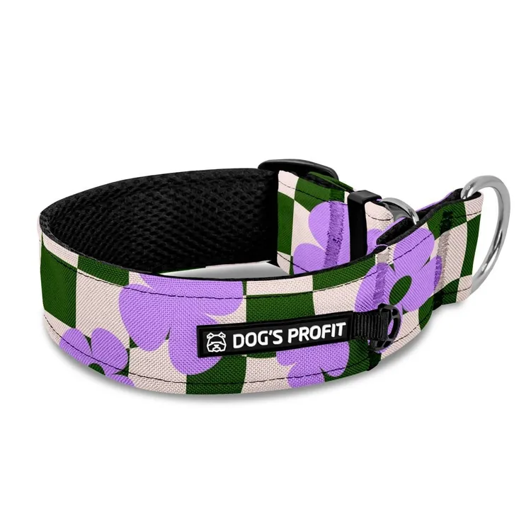 Obroża półzaciskowa dla charta Sunday Club XS|25mm (25-30cm)