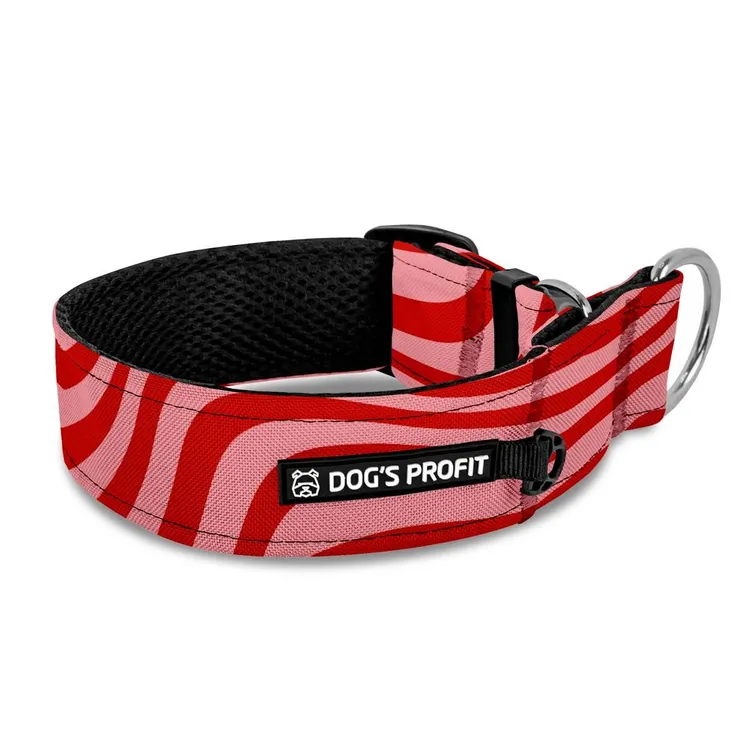 Obroża półzaciskowa dla charta WIESIENKA NA TORCIE XS|25mm (25-30cm)