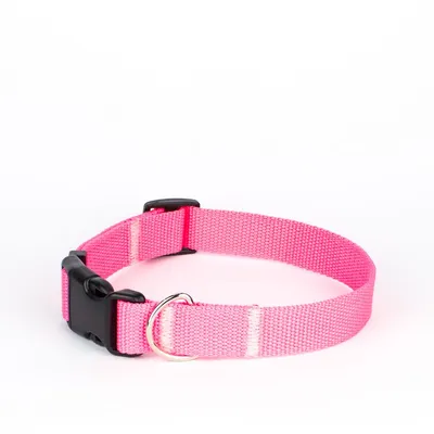 Obroża z klamrą BASIC RÓŻOWY NEON