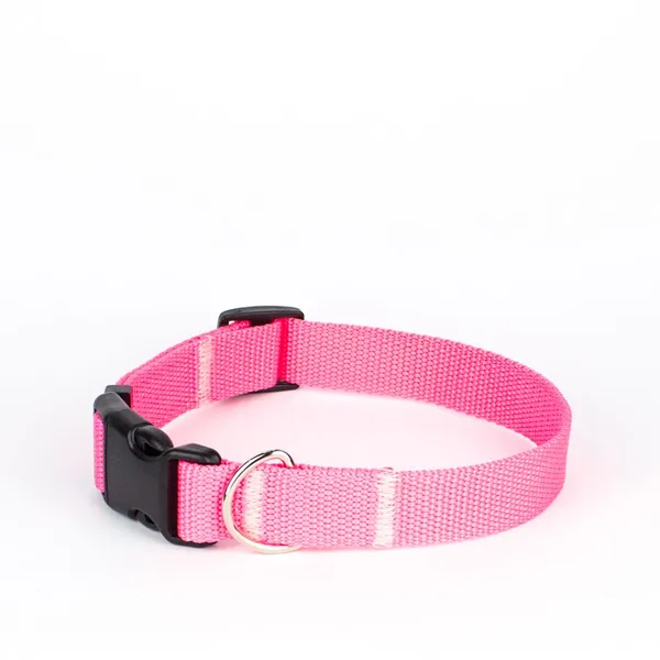 Obroża z klamrą BASIC RÓŻOWY NEON