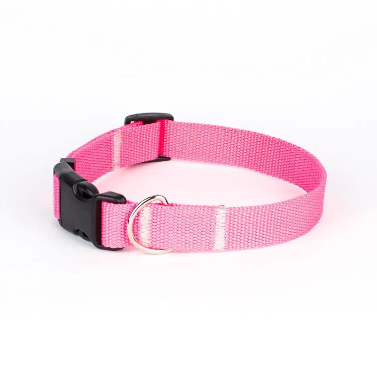 Obroża z klamrą BASIC RÓŻOWY NEON S|20mm