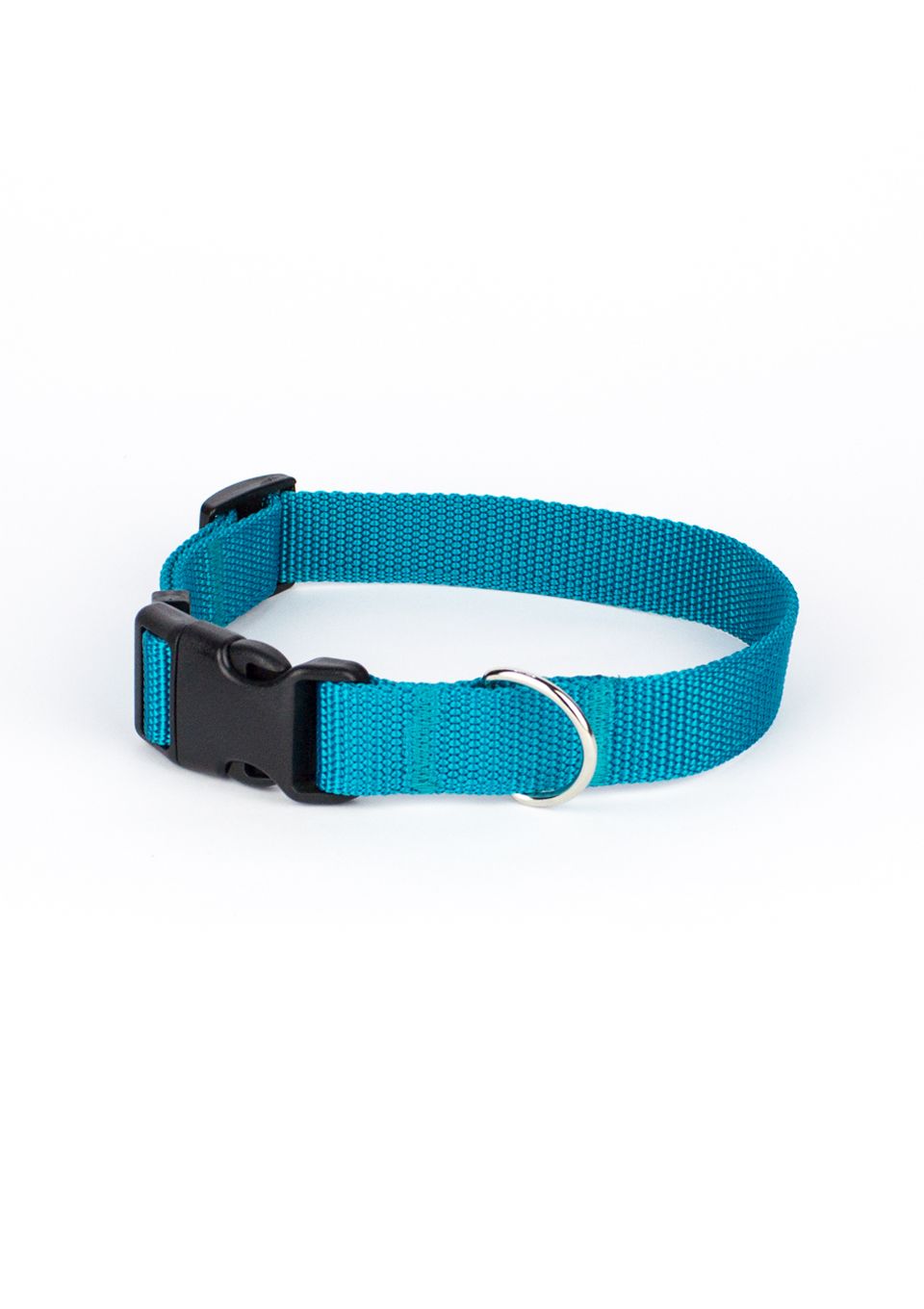 Obroża z klamrą BASIC TURKUSOWA