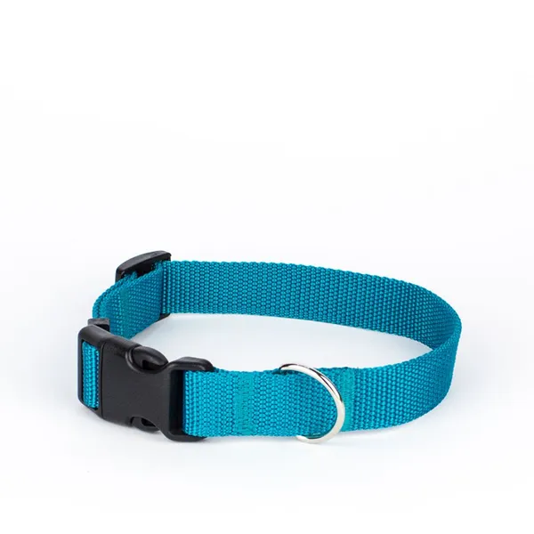 Obroża z klamrą BASIC TURKUSOWA