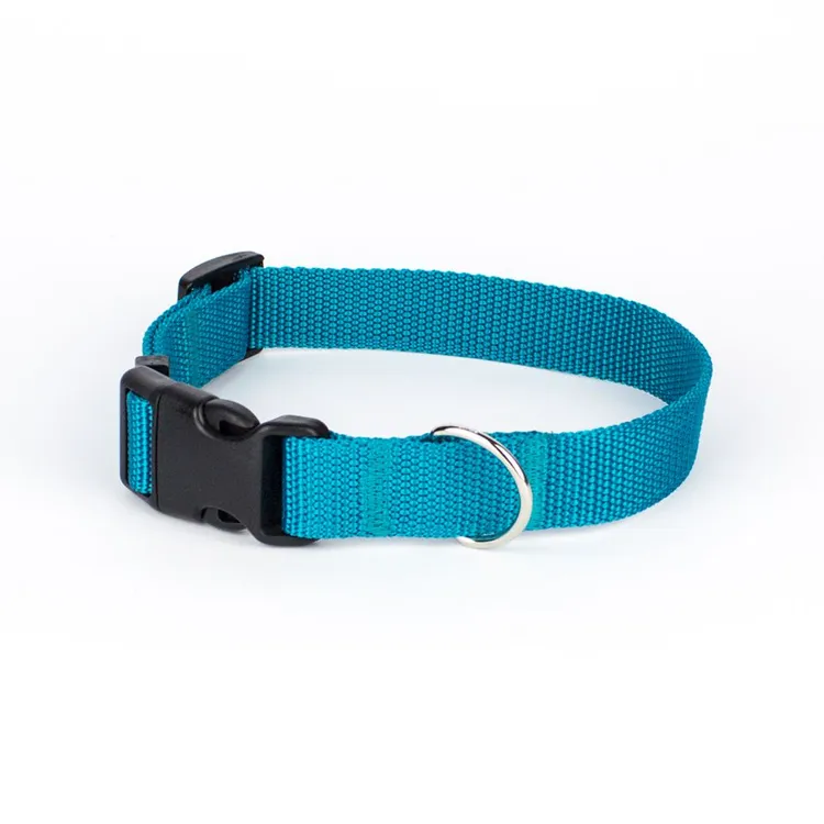 Obroża z klamrą BASIC TURKUSOWA S|20mm