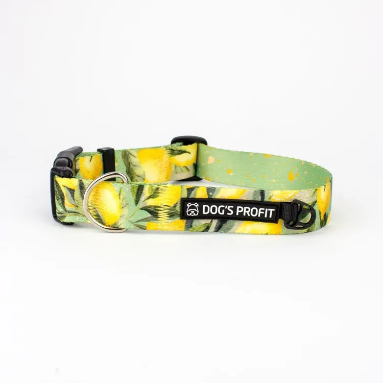 Obroża SIGNORA LIMONE S|20mm
