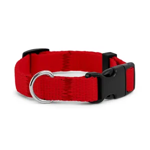 Obroża dla szczeniaka CZERWONA JAK CEGŁA