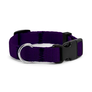 Obroża dla szczeniaka FIOLETOWA JAK JAGODZIANKI
