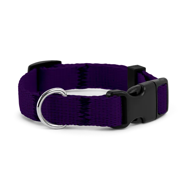 Obroża dla szczeniaka FIOLETOWA JAK JAGODZIANKI
