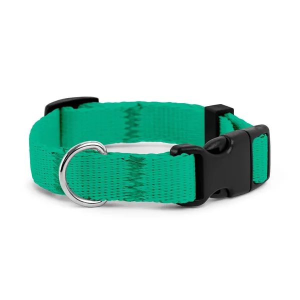 Obroża dla szczeniaka LAZUROWA JAK WYBRZEŻE