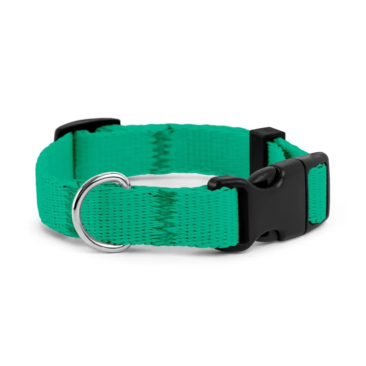 Obroża dla szczeniaka LAZUROWA JAK WYBRZEŻE