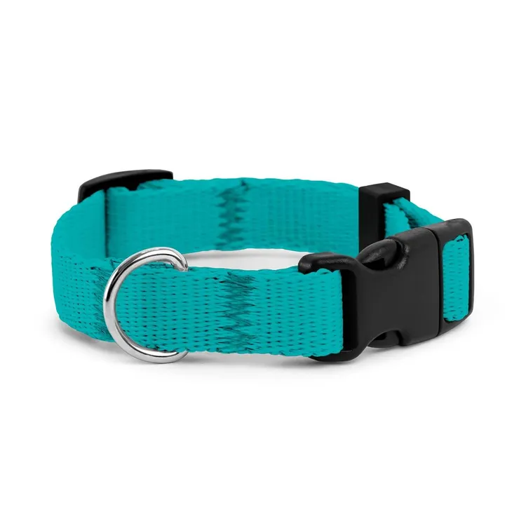 Obroża dla szczeniaka NIEBIESKA JAK NIEBO