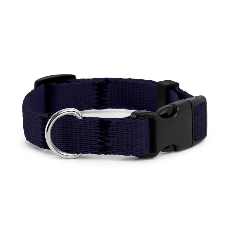 Obroża dla szczeniaka NIEBIESKA JAK NOCNE NIEBO