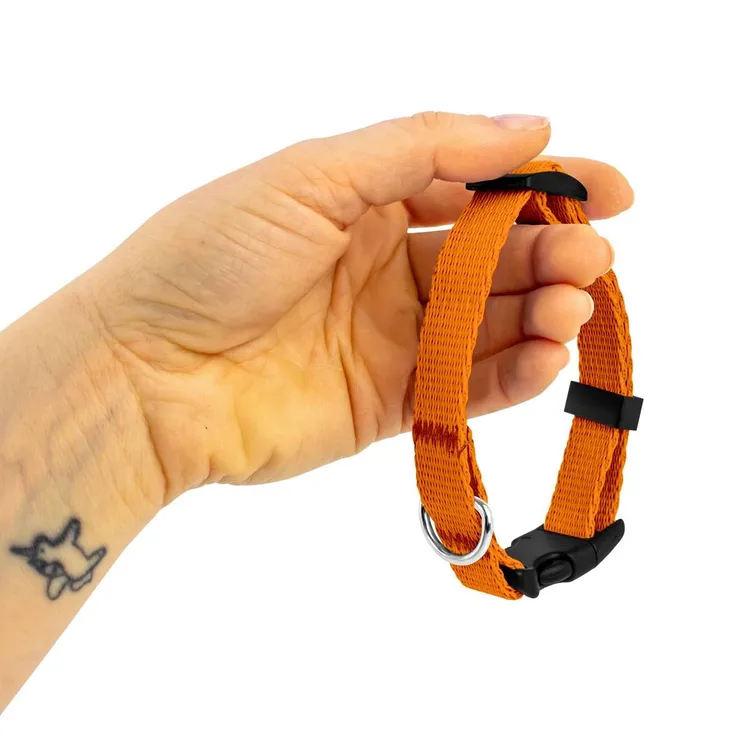 Obroża dla szczeniaka POMARAŃCZOWA JAK POMARAŃCZA