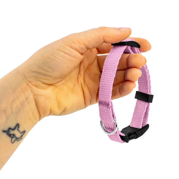 Obroża dla szczeniaka PUDROWORÓŻOWA JAK MAJTKI