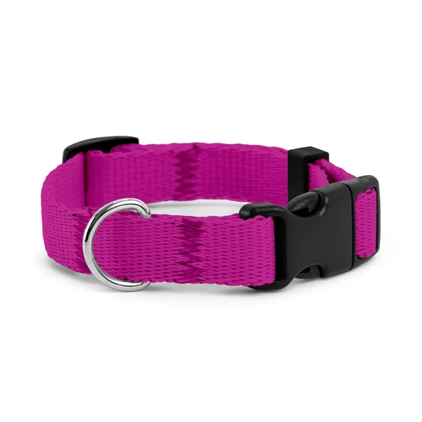 Obroża dla szczeniaka RÓŻOWA JAK SIĘ PATRZY