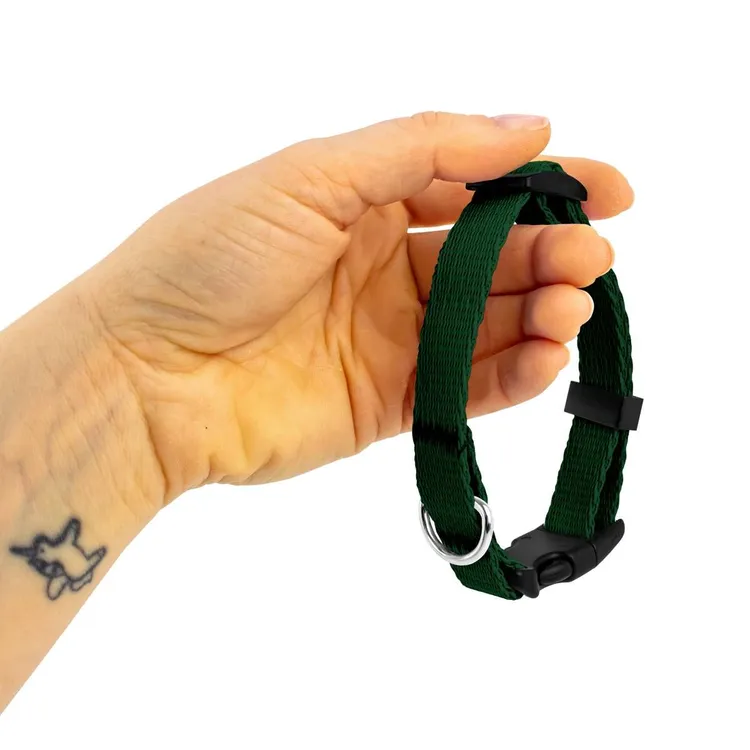 Obroża dla szczeniaka ZIELONA JAK BUTELKA