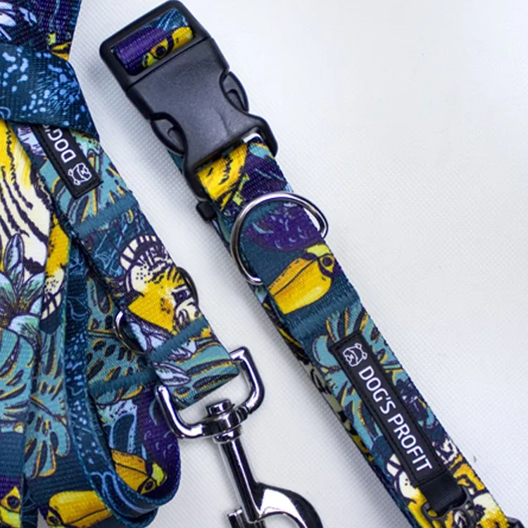 Obroża EXOTIC S | 20mm