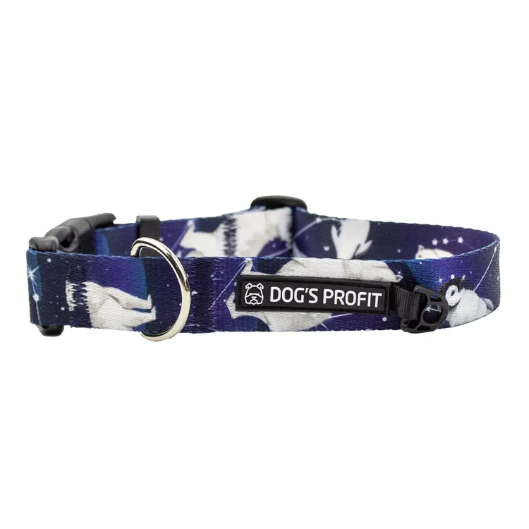 Obroża Ekspres Polarny S|20mm