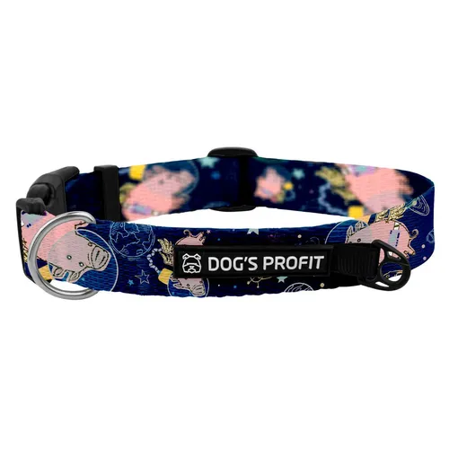 Obroża ASTRO PIG