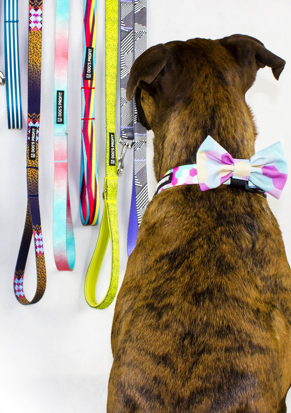 Obroża MARSHMALLOW S | 20mm