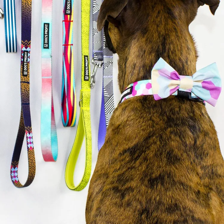 Obroża MARSHMALLOW S | 20mm