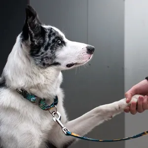 Obroża martingale dla psa Dog's Profit