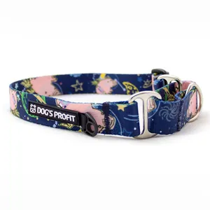 Obroża martingale ASTRO PIG
