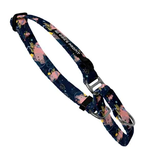 Obroża martingale ASTRO PIG