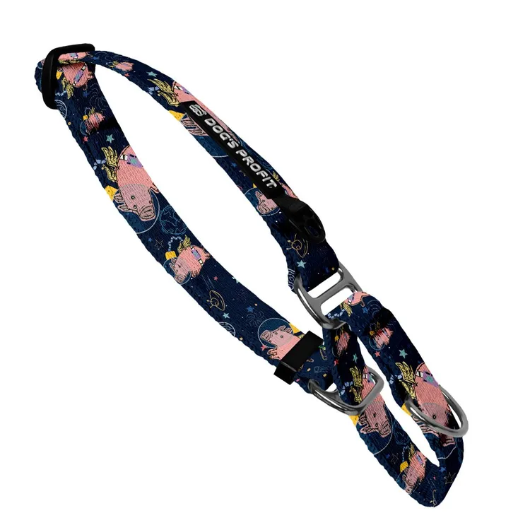 Obroża martingale ASTRO PIG S | 20mm