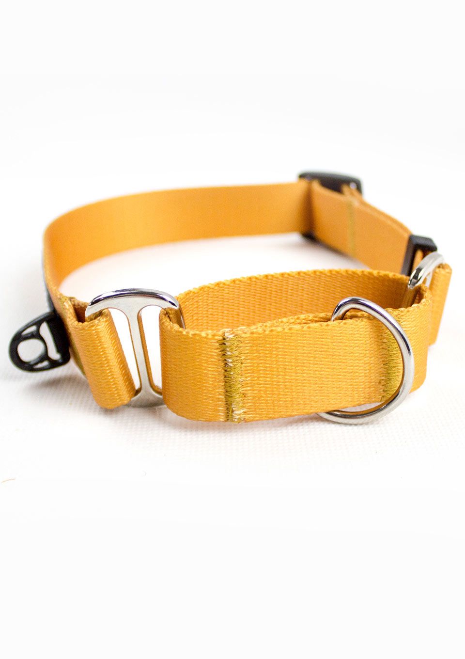 Obroża martingale CARAMEL S | 20mm