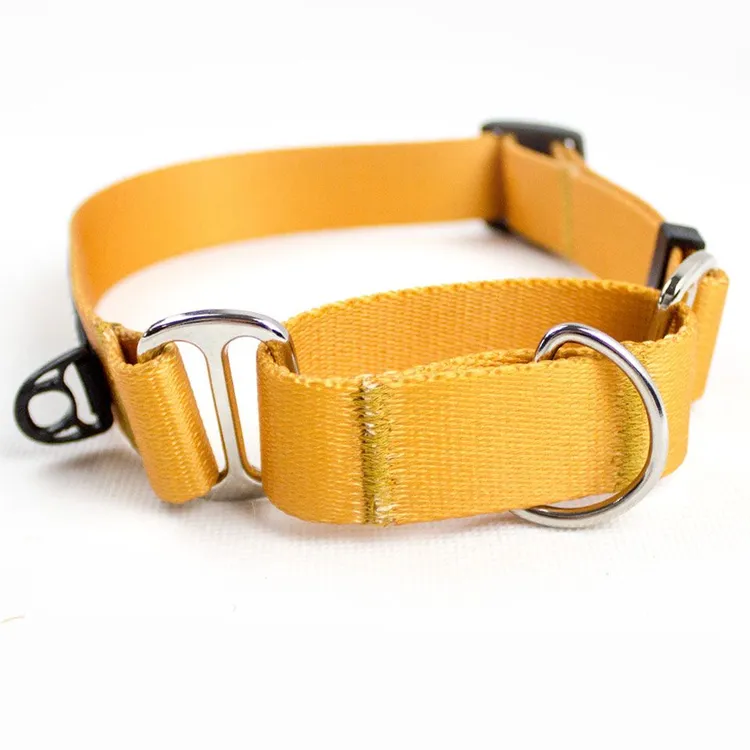 Obroża martingale CARAMEL S | 20mm