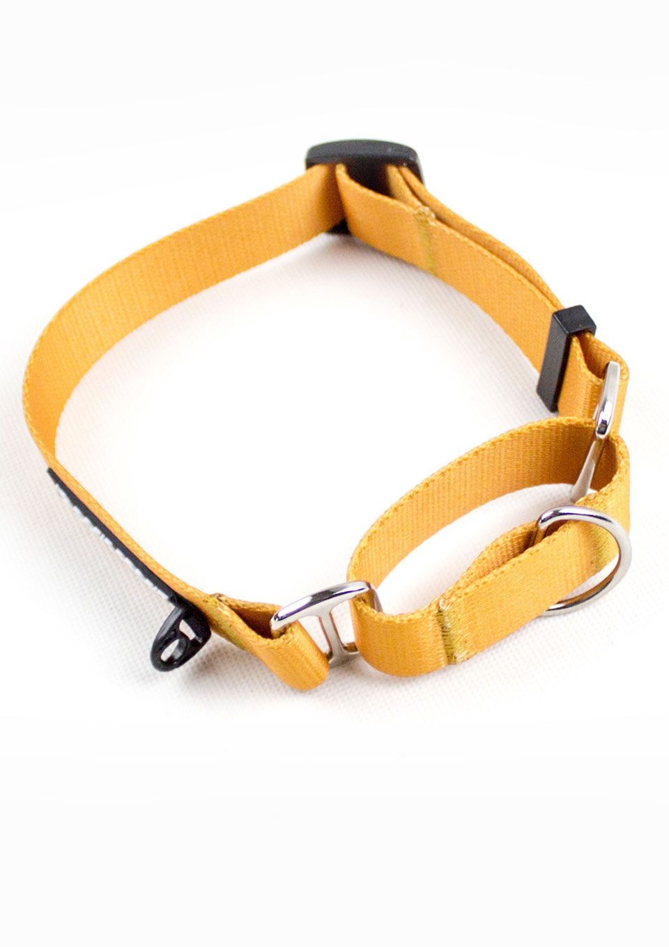 Obroża martingale CARAMEL S | 20mm