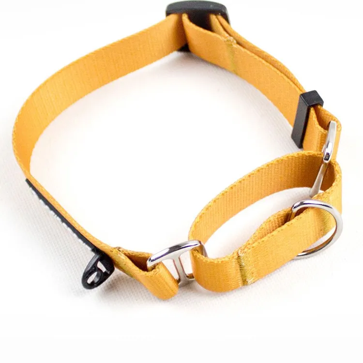 Obroża martingale CARAMEL S | 20mm