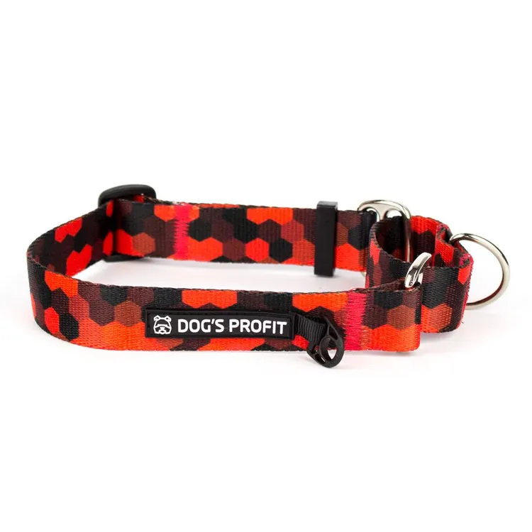 Obroża martingale DOG&ROLL S | 20mm