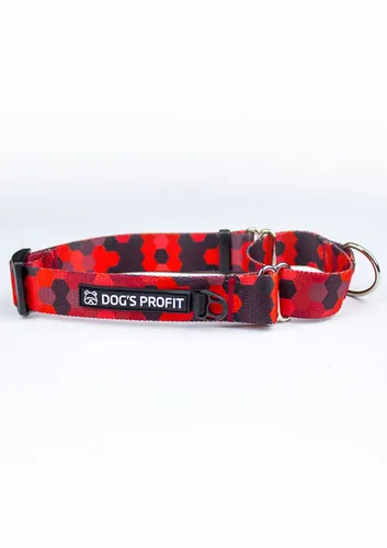 Obroża martingale DOG&ROLL