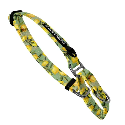 Obroża martingale Signora Limone