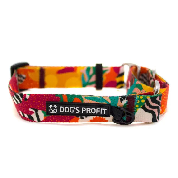 Obroża martingale MEXICO S | 20mm