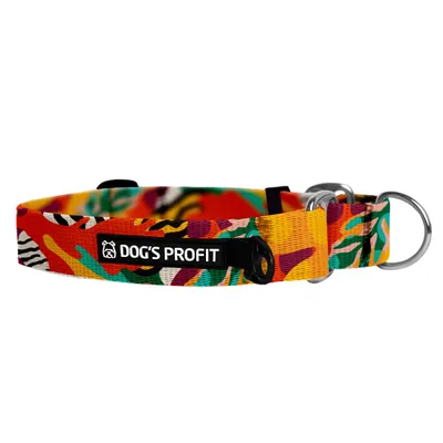 Obroża martingale MEXICO
