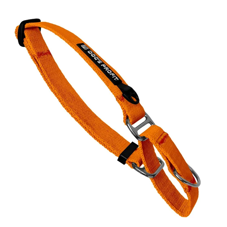 Obroża martingale POMARAŃCZOWA JAK POMARAŃCZA S|20mm