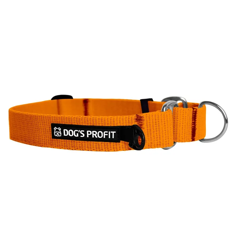 Obroża martingale POMARAŃCZOWA JAK POMARAŃCZA S|20mm