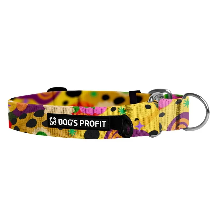 Obroża martingale SEUL S|20mm