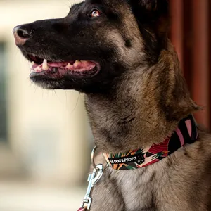 Obroża we wzór z klamrą dla psa Dog's Profit
