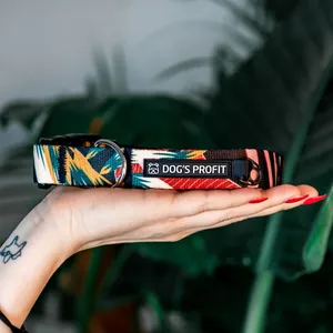 Zapięcie na adresówkę w obroży z klamrą dla psa Dog's Profit