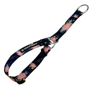 Obroża półzaciskowa ASTRO PIG