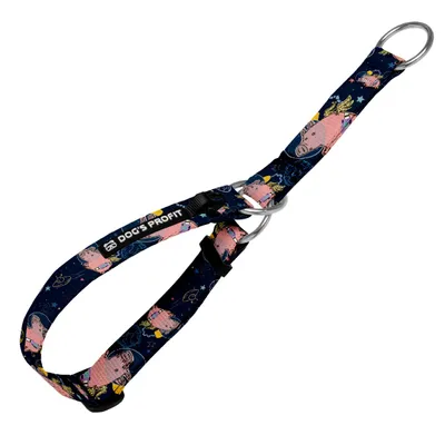 Obroża półzaciskowa ASTRO PIG