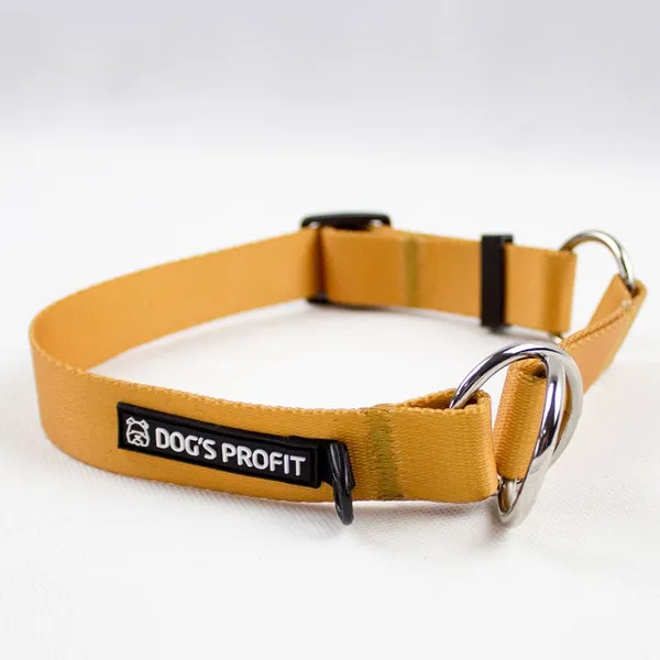 Obroża półzaciskowa CARAMEL