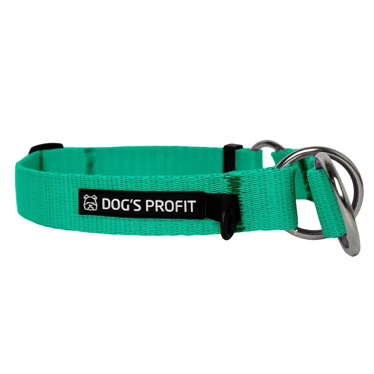 Obroża półzaciskowa LAZUROWA JAK WYBRZEŻE S|20mm