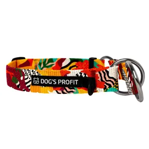 Obroża półzaciskowa MEXICO